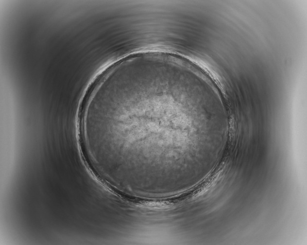 X0000096640998200802261254