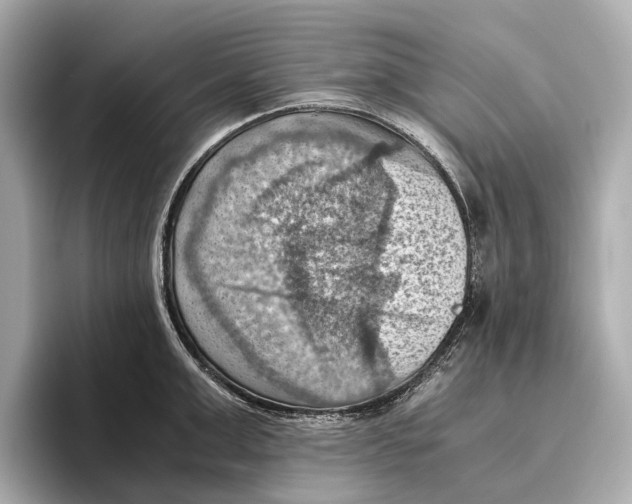 X0000096640999200802261254