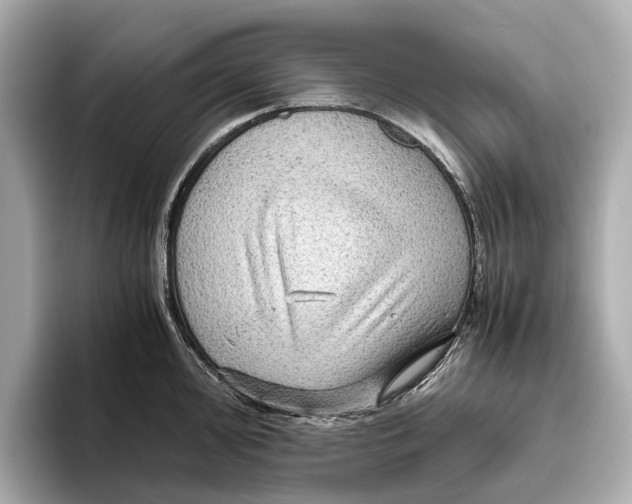 X0000096641000200802261254