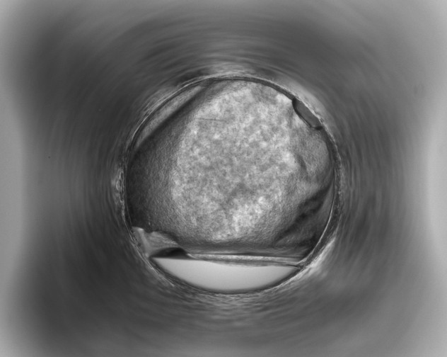 X0000096641001200802261254