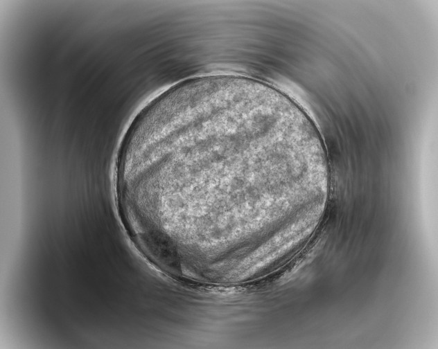 X0000096641003200802261254