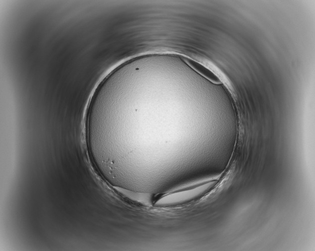 X0000096641004200802261254