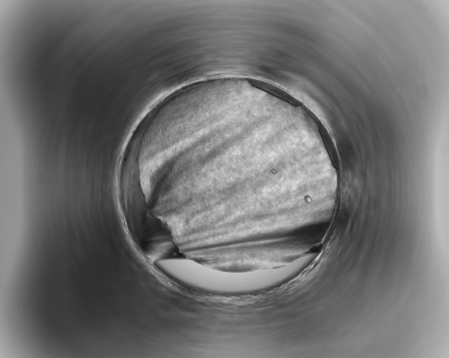 X0000096641005200802261254