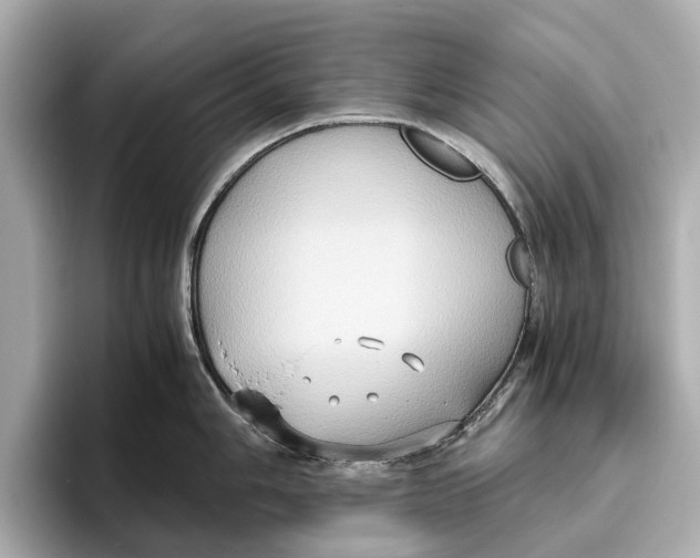 X0000096641006200802261254