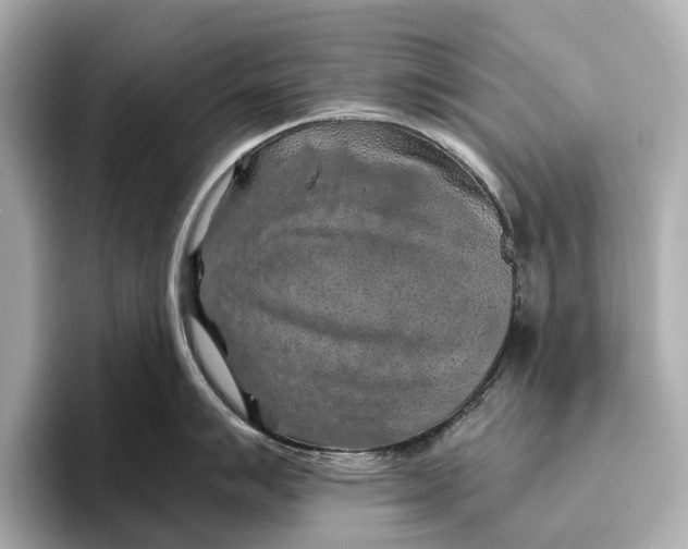 X0000096641007200802261254