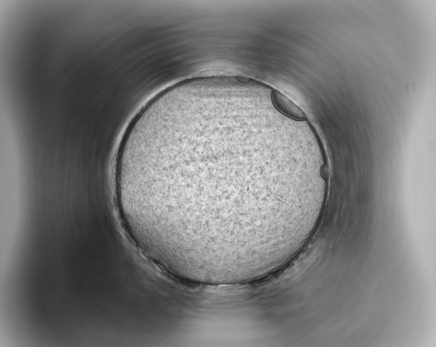 X0000096641008200802261254