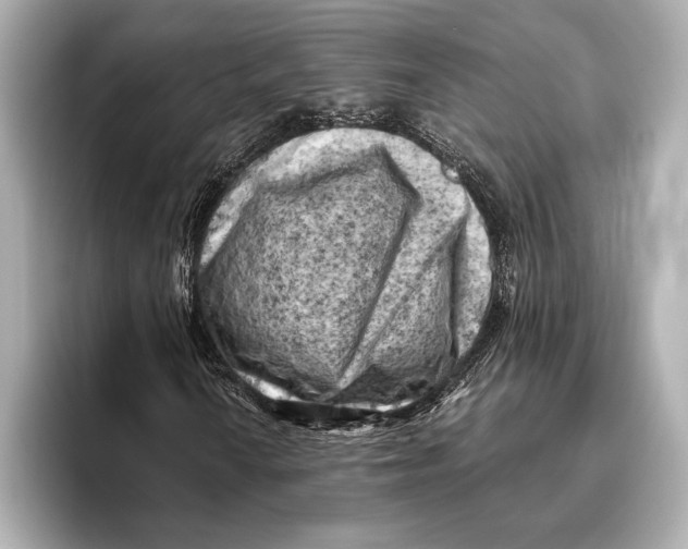 X0000096641010200802261253