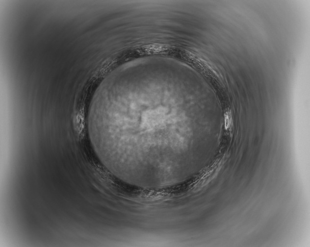 X0000096641011200802261253