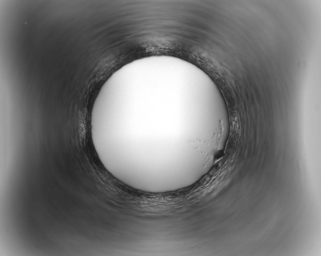 X0000096641012200802261253