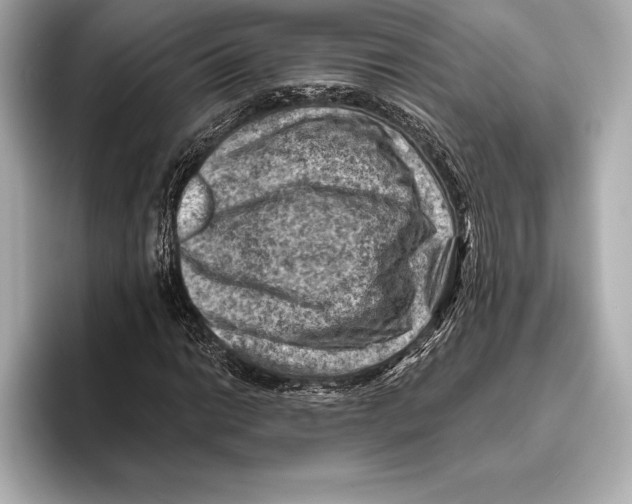 X0000096641014200802261253