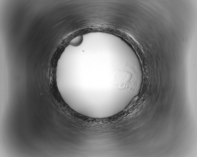 X0000096641016200802261253