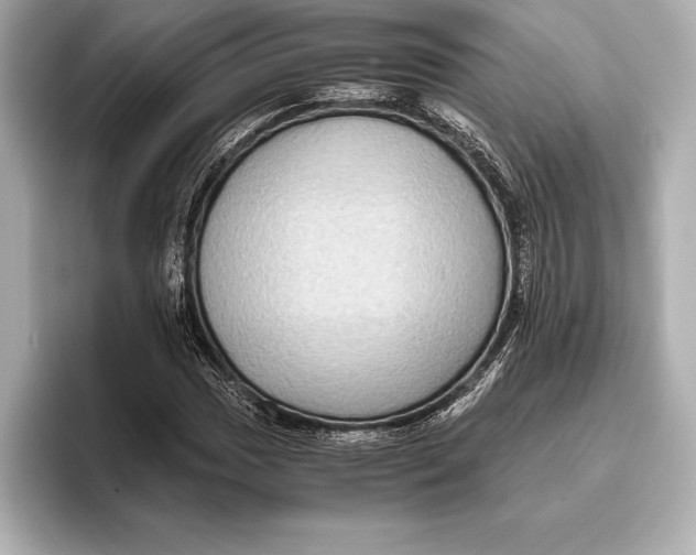 X0000096641017200802261253