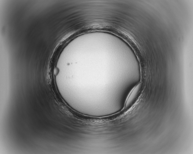 X0000096641018200802261253