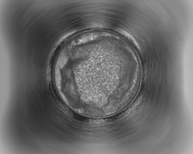 X0000096641019200802261253