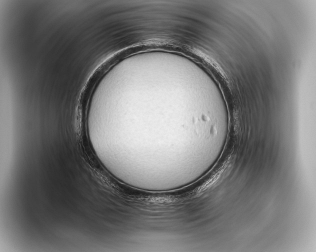 X0000096641021200802261253