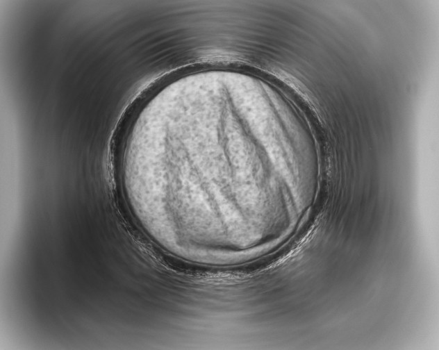 X0000096641022200802261253