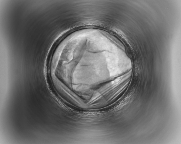 X0000096641024200802261253