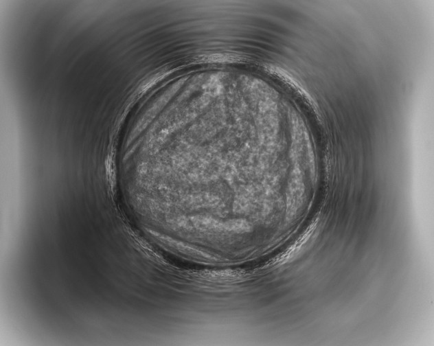 X0000096641025200802261253