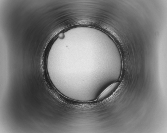 X0000096641026200802261253