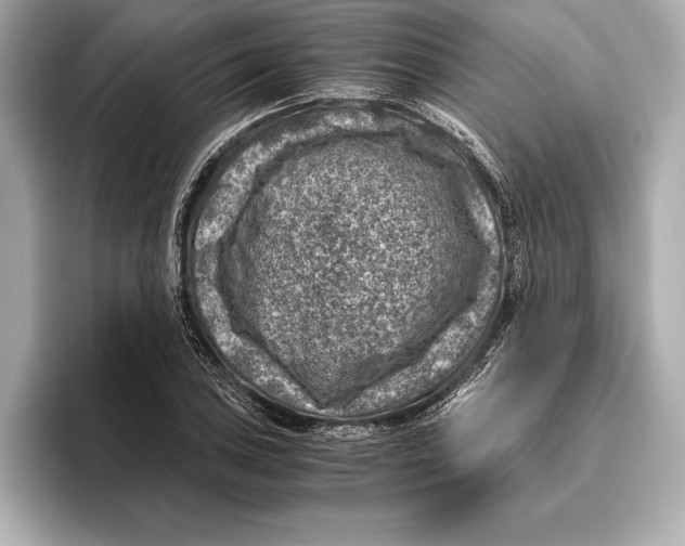 X0000096641027200802261253