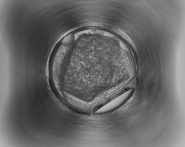 X0000096641028200802261253