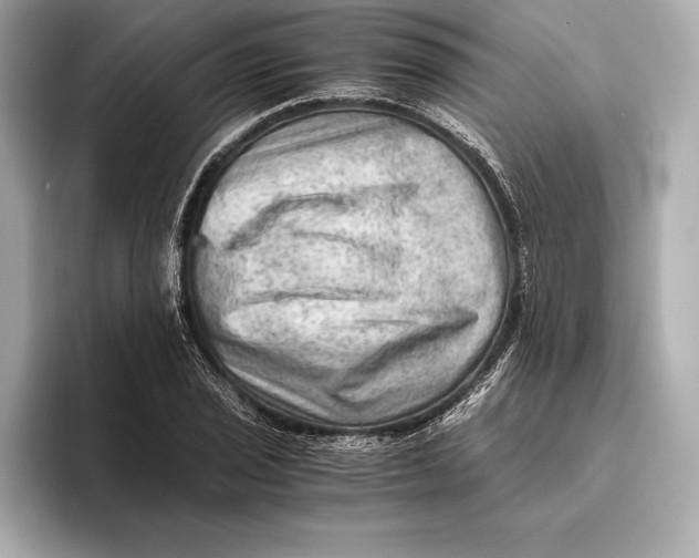 X0000096641029200802261253