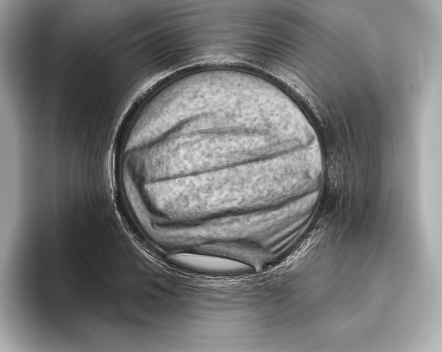 X0000096641030200802261253