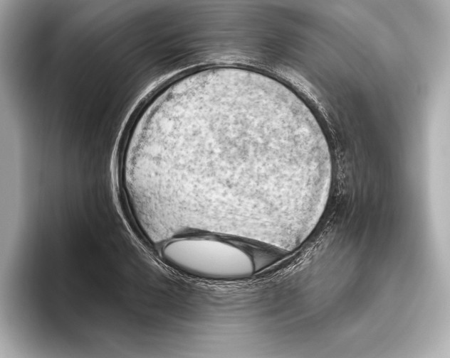 X0000096641032200802261253