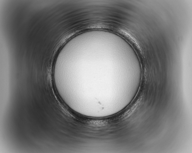 X0000096641033200802261253