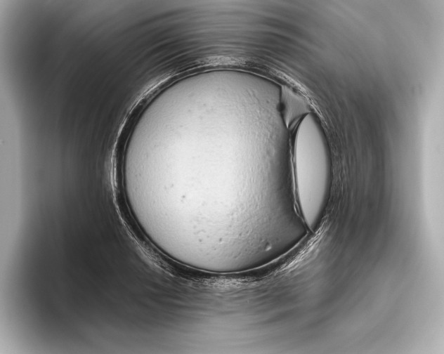 X0000096641034200802261253