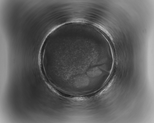 X0000096641037200802261253