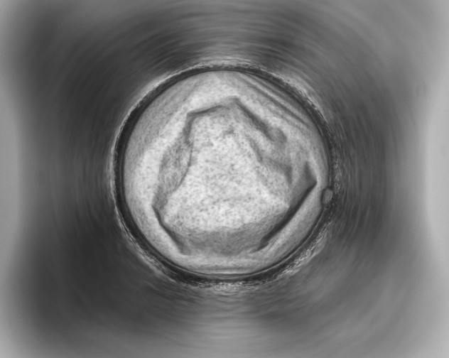 X0000096641038200802261253