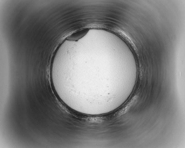 X0000096641041200802261253