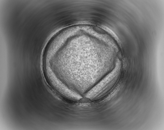 X0000096641043200802261253