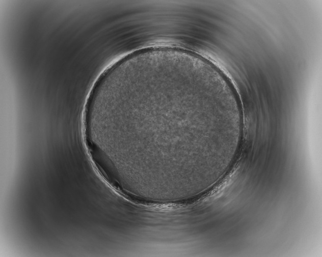 X0000096641045200802261253