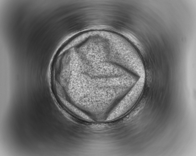 X0000096641046200802261253