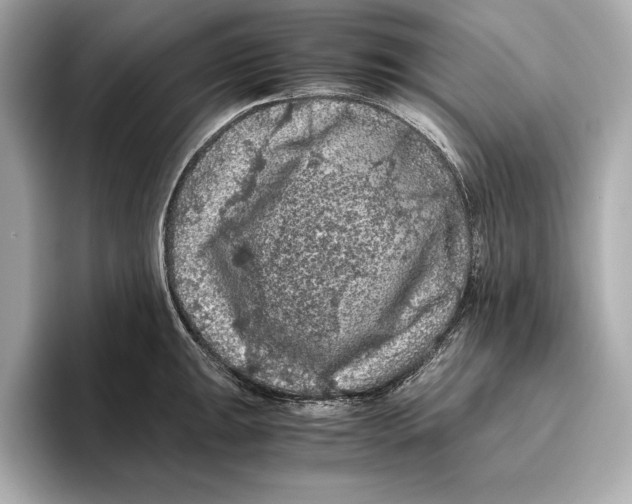 X0000096641047200802261253