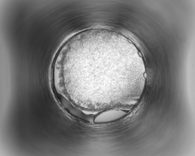 X0000096641048200802261253