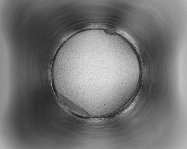 X0000096641049200802261253