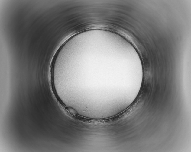 X0000096641050200802261253