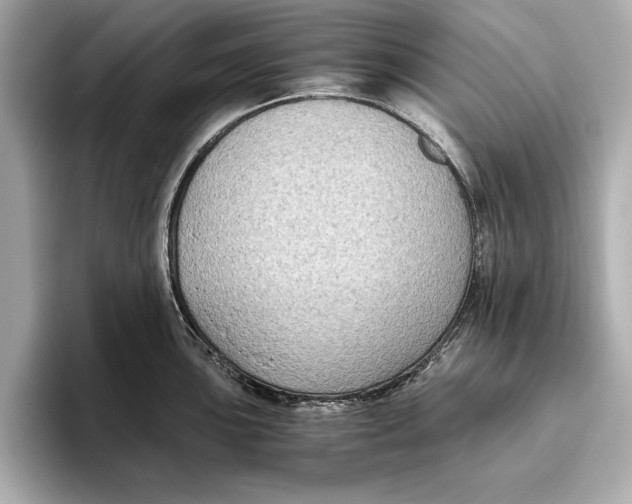 X0000096641051200802261253