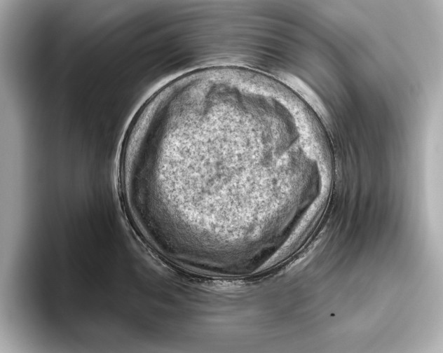 X0000096641052200802261253