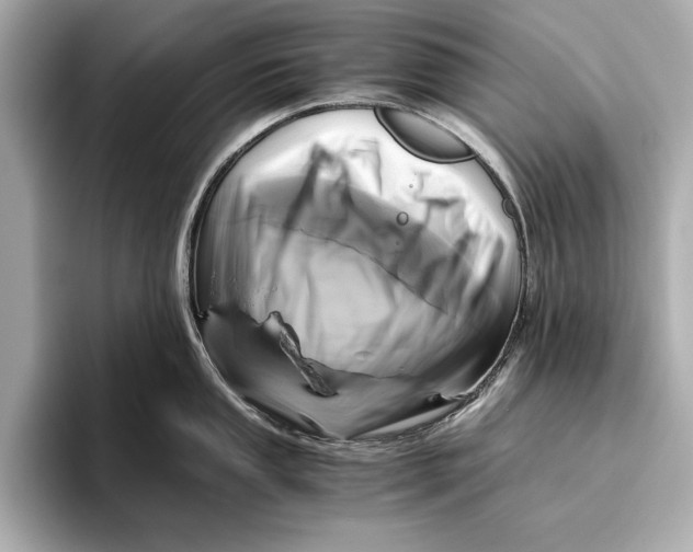 X0000096641053200802261253