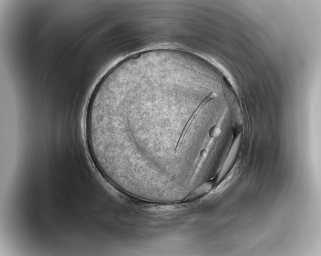 X0000096641054200802261253