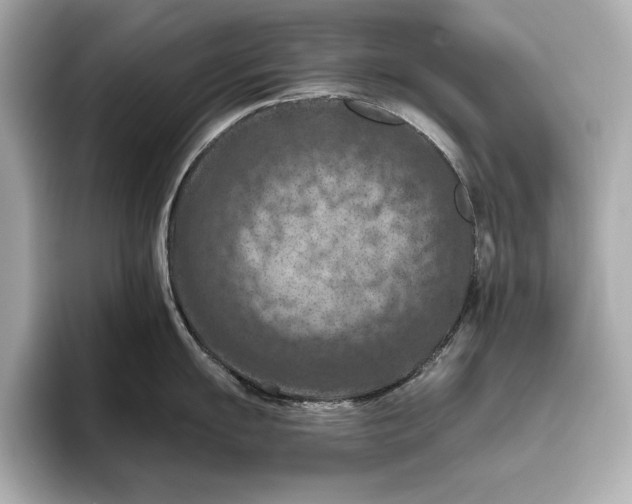 X0000096641055200802261253