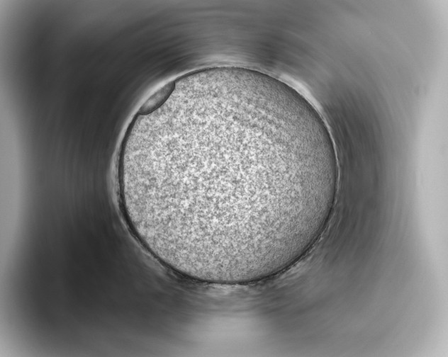 X0000096641056200802261254