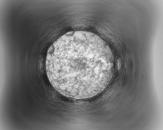 X0000096641059200802261253