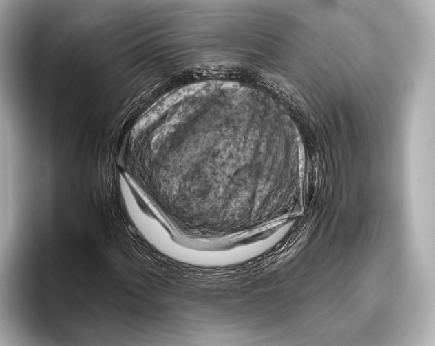 X0000096641060200802261253