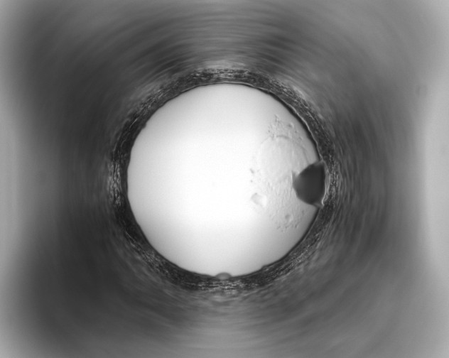 X0000096641062200802261253