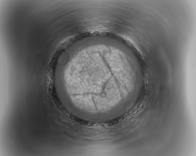 X0000096641063200802261253